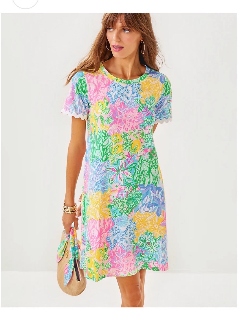 Nwt Xl Cody Short Sleeve Dress Multi Bright Delight